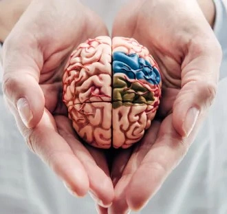 Pineal Pure Cognitive Health Supplement Bottle